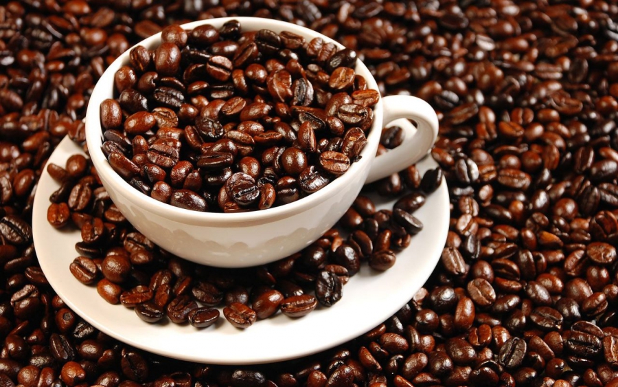 Cà phê Robusta là gì và những điều cần biết