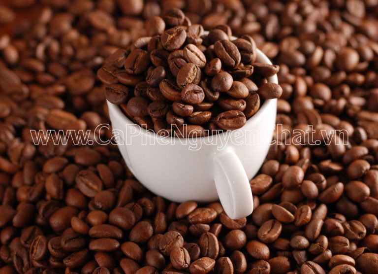 Mua cà phê nguyên chất – cà phê sạch Sài Gòn