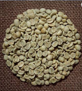 Cà phê nhân xanh và các phương pháp sơ chế cà phê