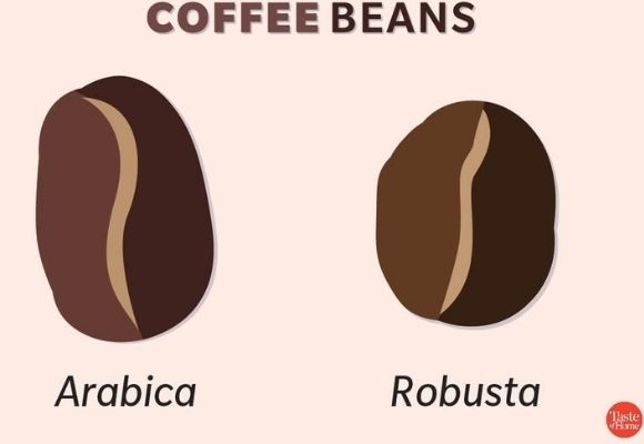 Hướng dẫn cơ bản của bạn về các loại cà phê khác nhau