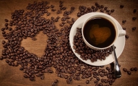 Kiến thức cơ bản về cà phê  rất hay mà ta chưa biết